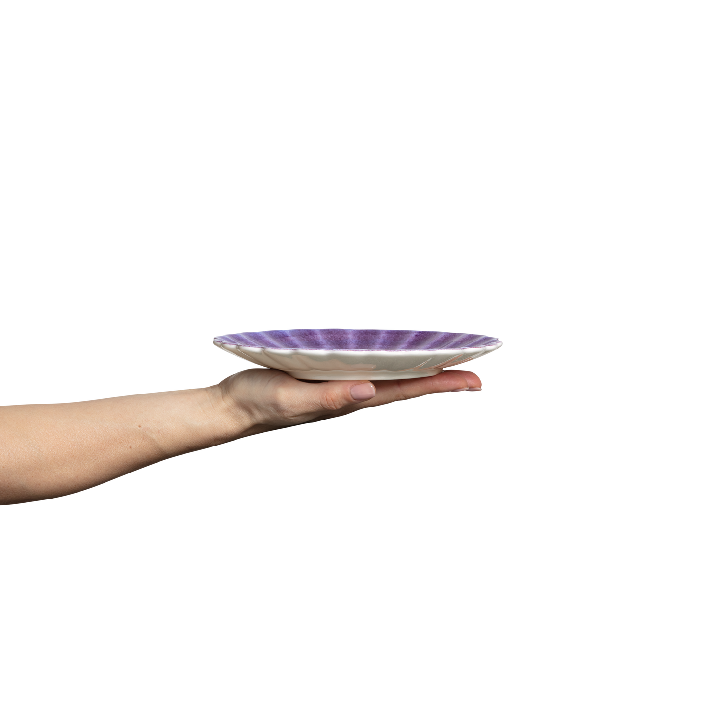 Oyster Plate 20 cm Purple