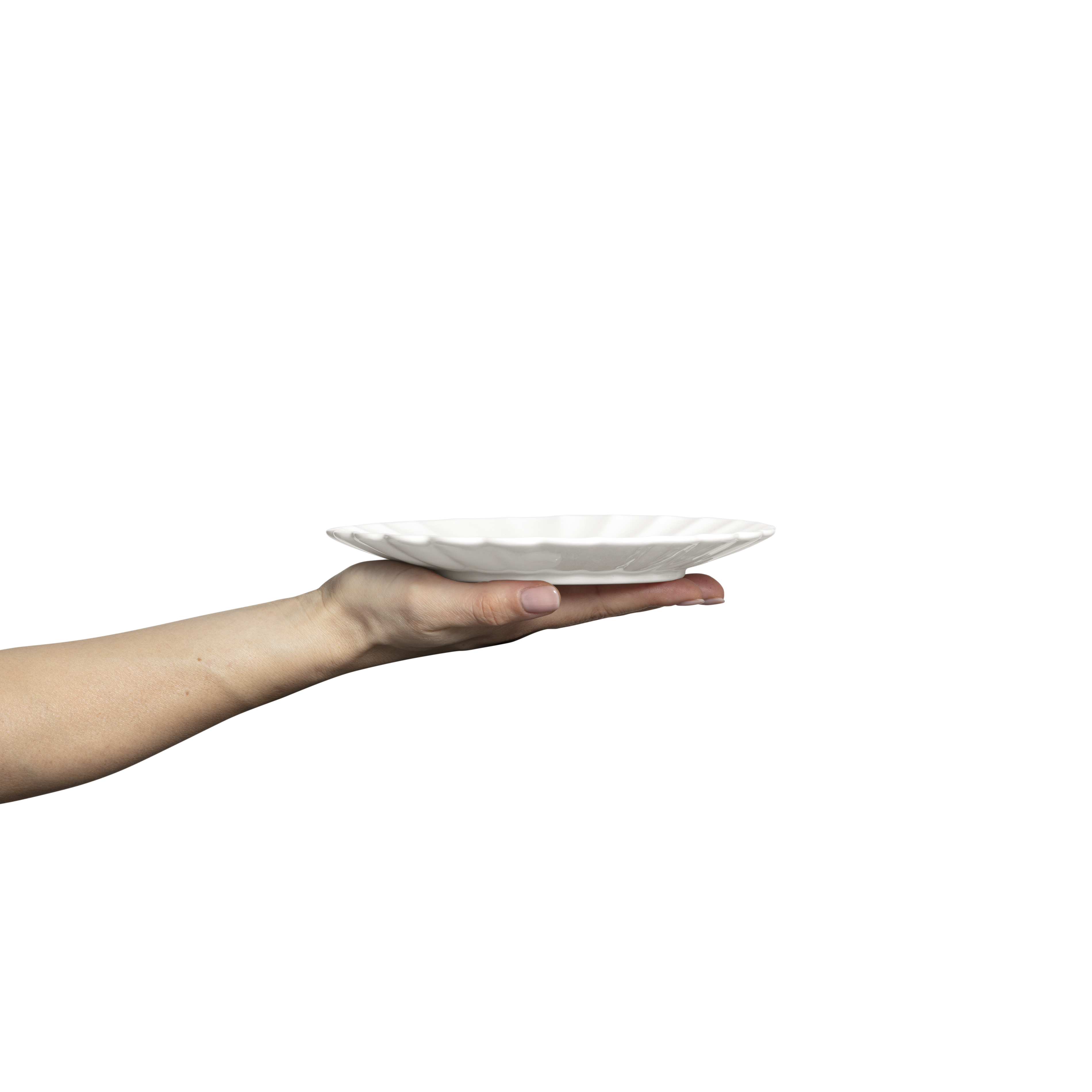 Oyster Plate 20 cm White