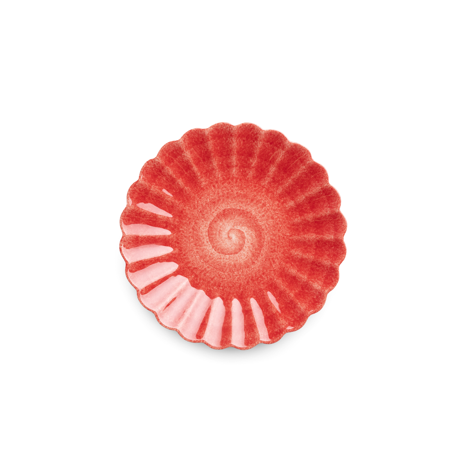 Red and pink decorative shell on a white background