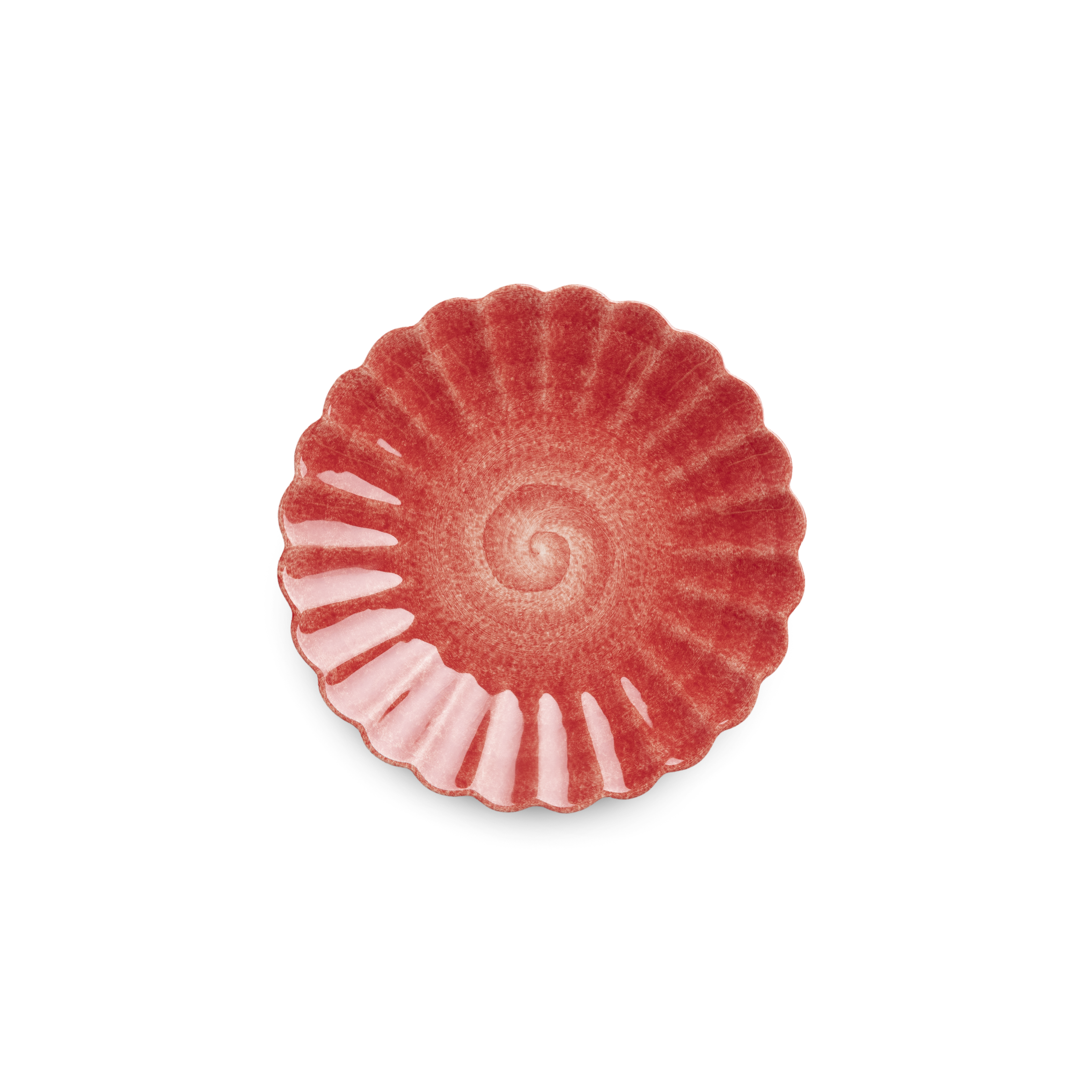 Red and pink decorative shell on a white background