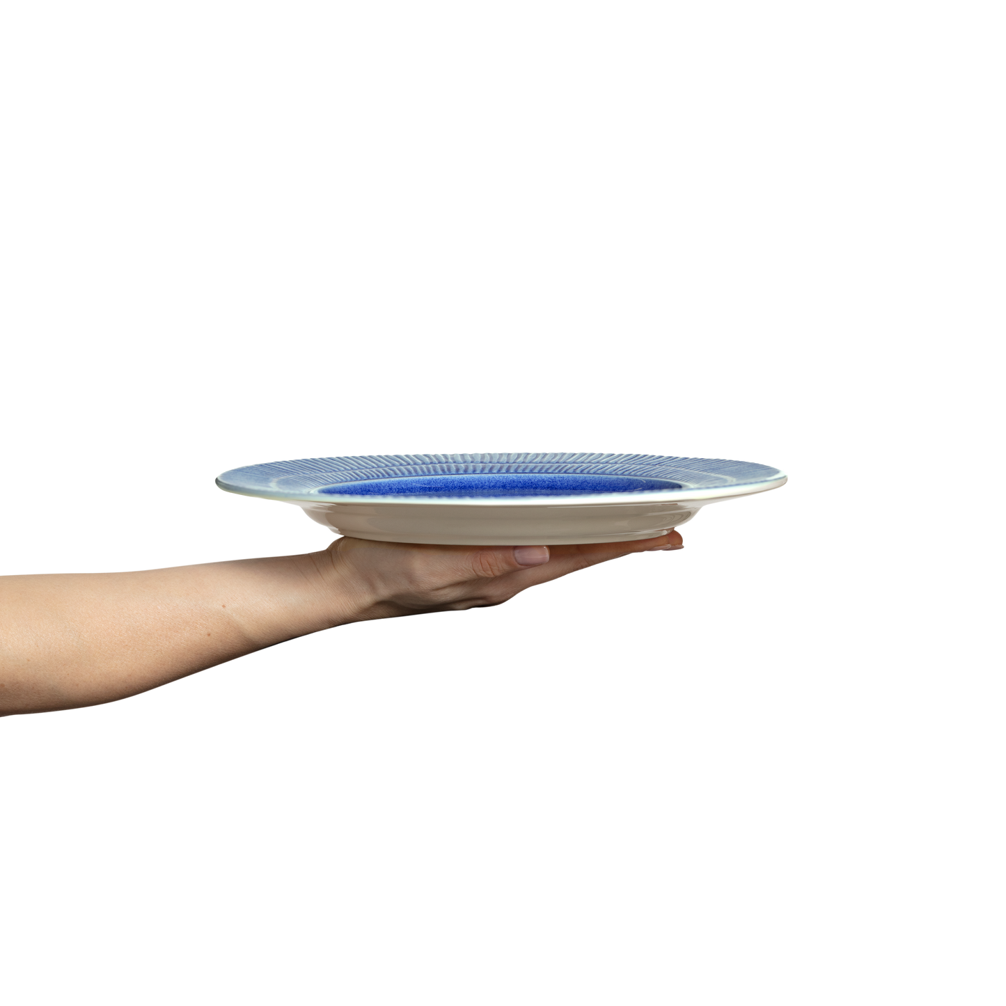 Hand holding a blue and white ceramic plate against a white background