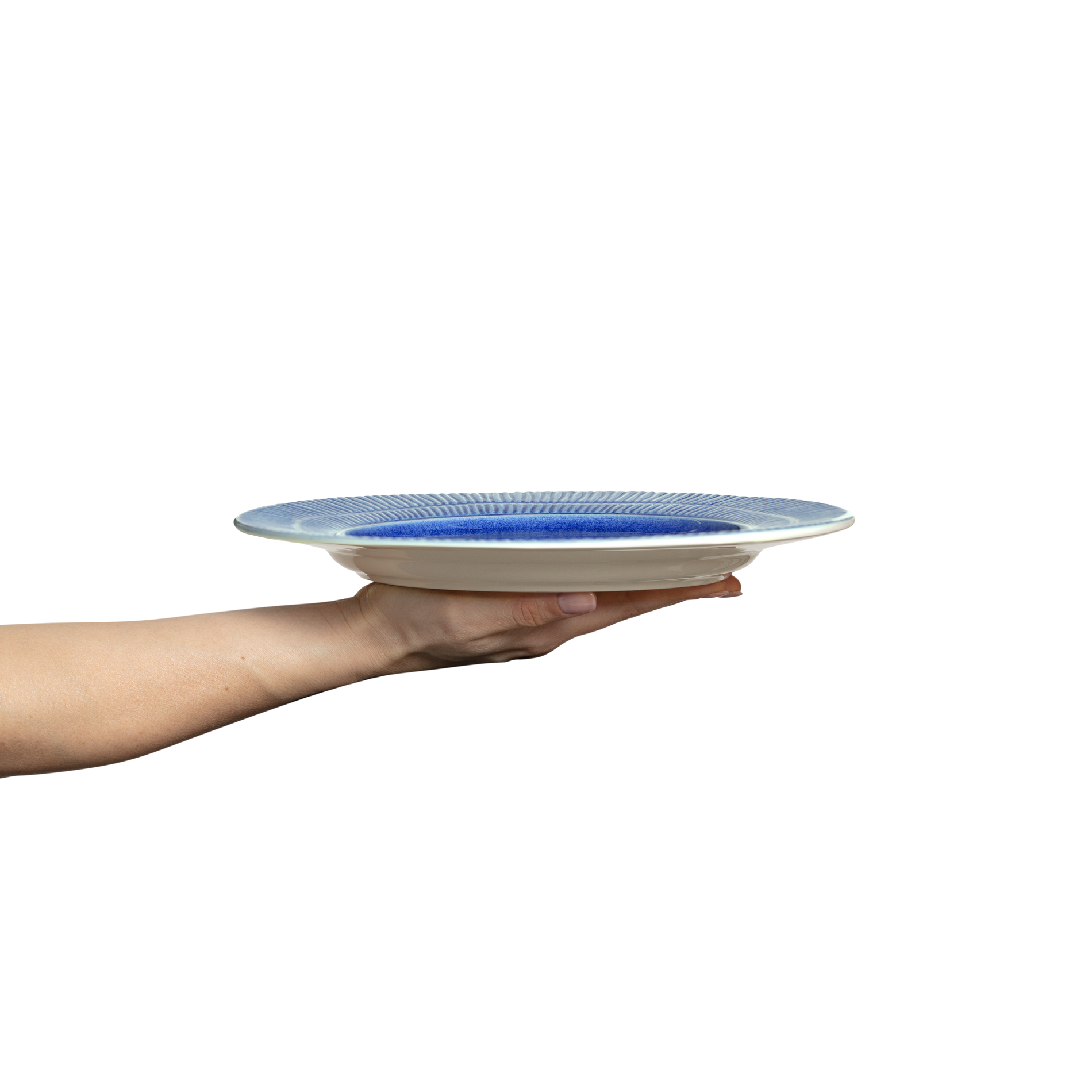 Hand holding a blue and white ceramic plate against a white background
