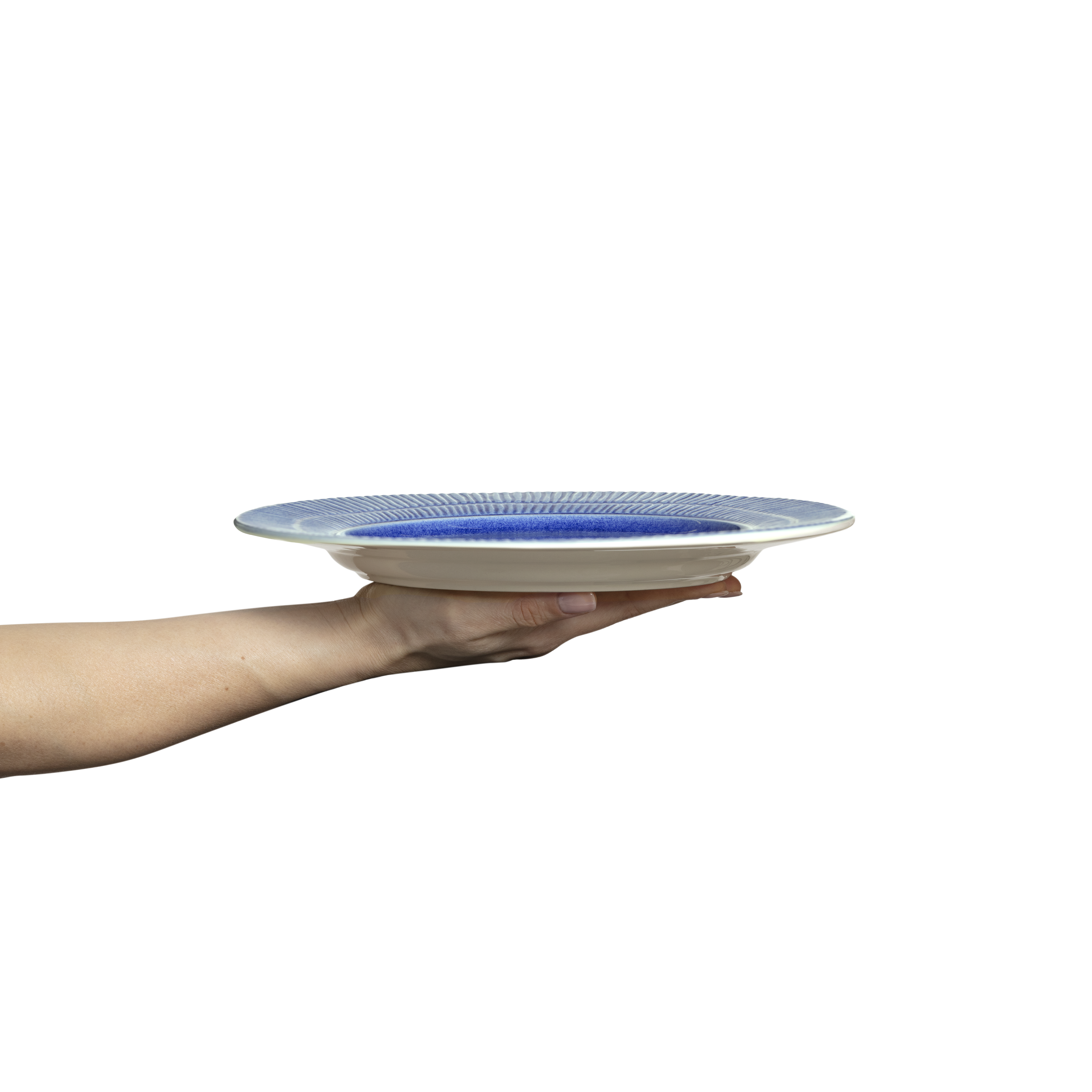 Hand holding a blue and white ceramic plate against a white background