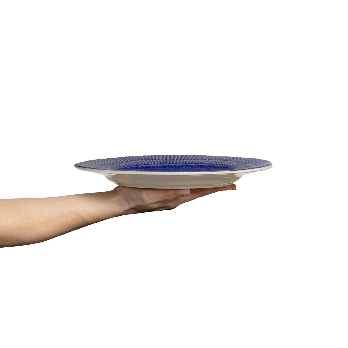 Hand holding a blue and white ceramic plate against a white background
