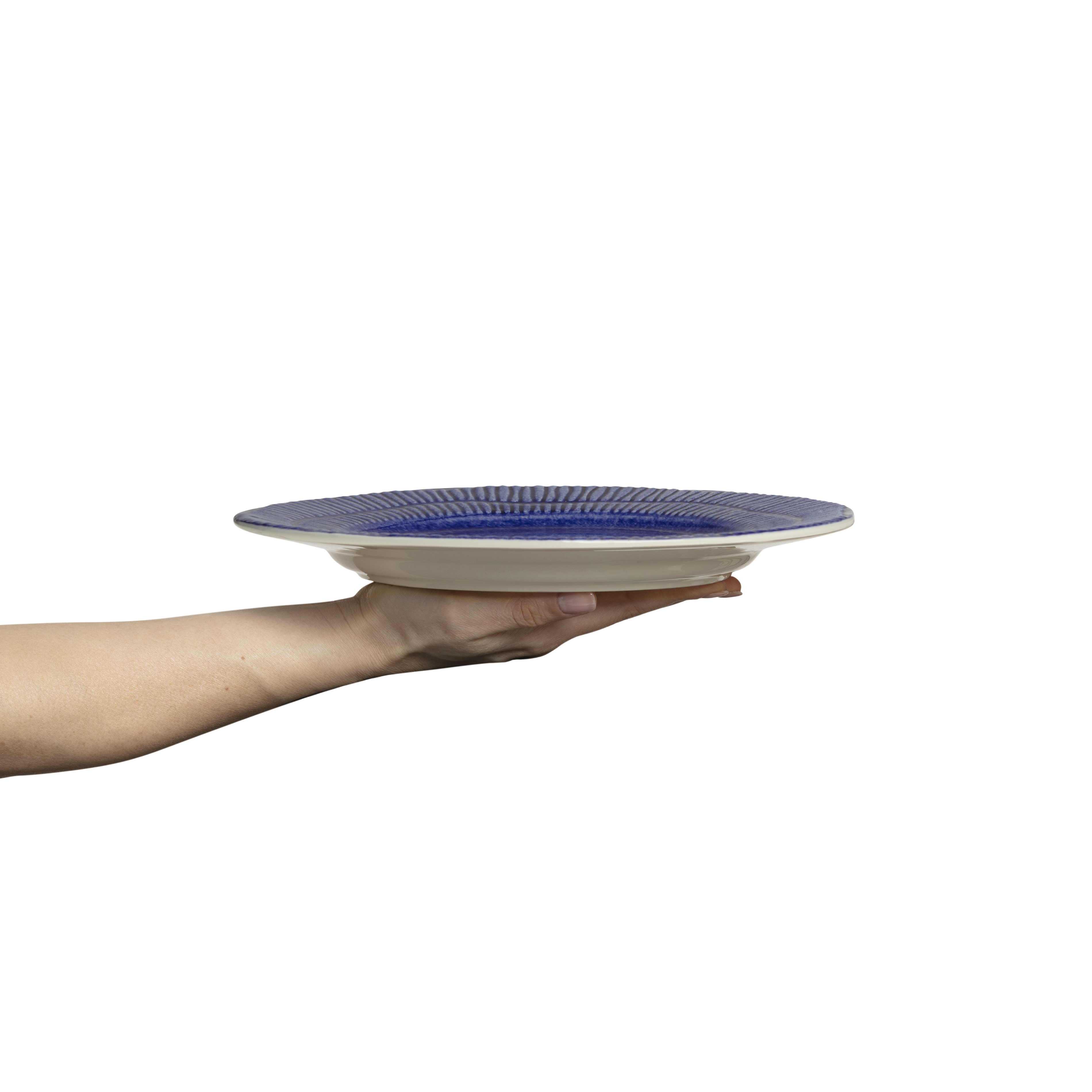 Hand holding a blue and white ceramic plate against a white background